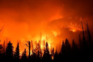 Creek Fire in the Sierra National Forest (photo by Marcio Jose Sanchez/Associated Press)