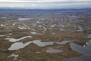 Abrupt thawing of permafrost releases carbon in the form of methane, the Kraken of greenhouse gases (photo from Bureau of Land Management)